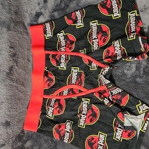 Jurassic Park Medium Black Boxer Briefs